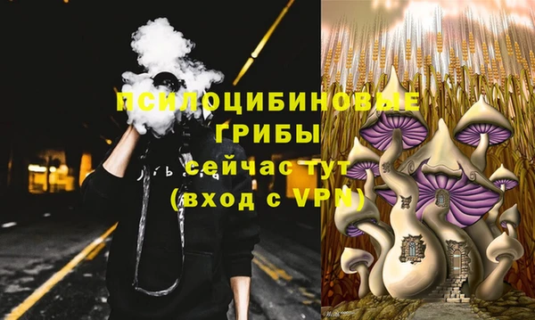 винт Липки