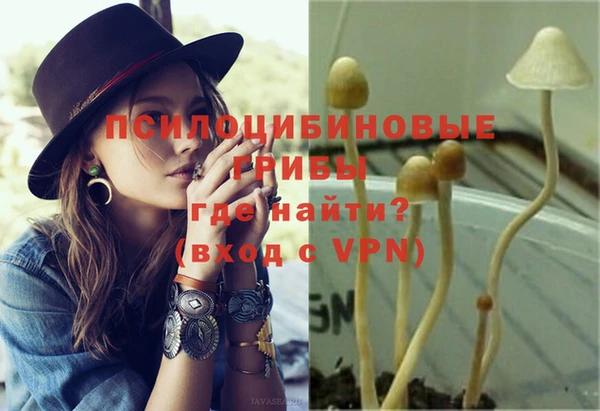 винт Липки
