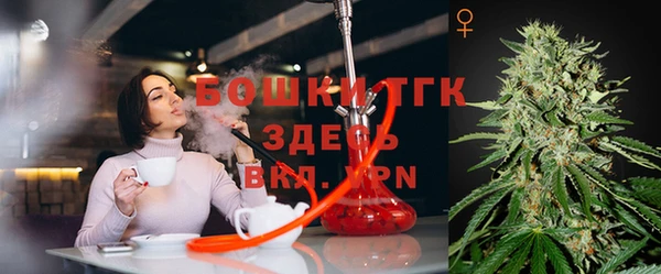 винт Липки