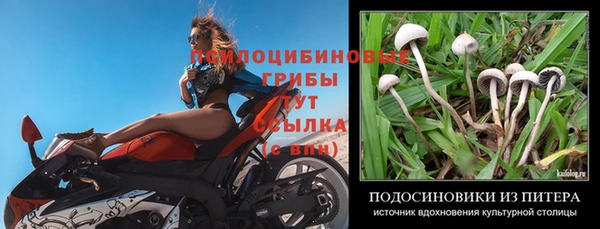 винт Липки